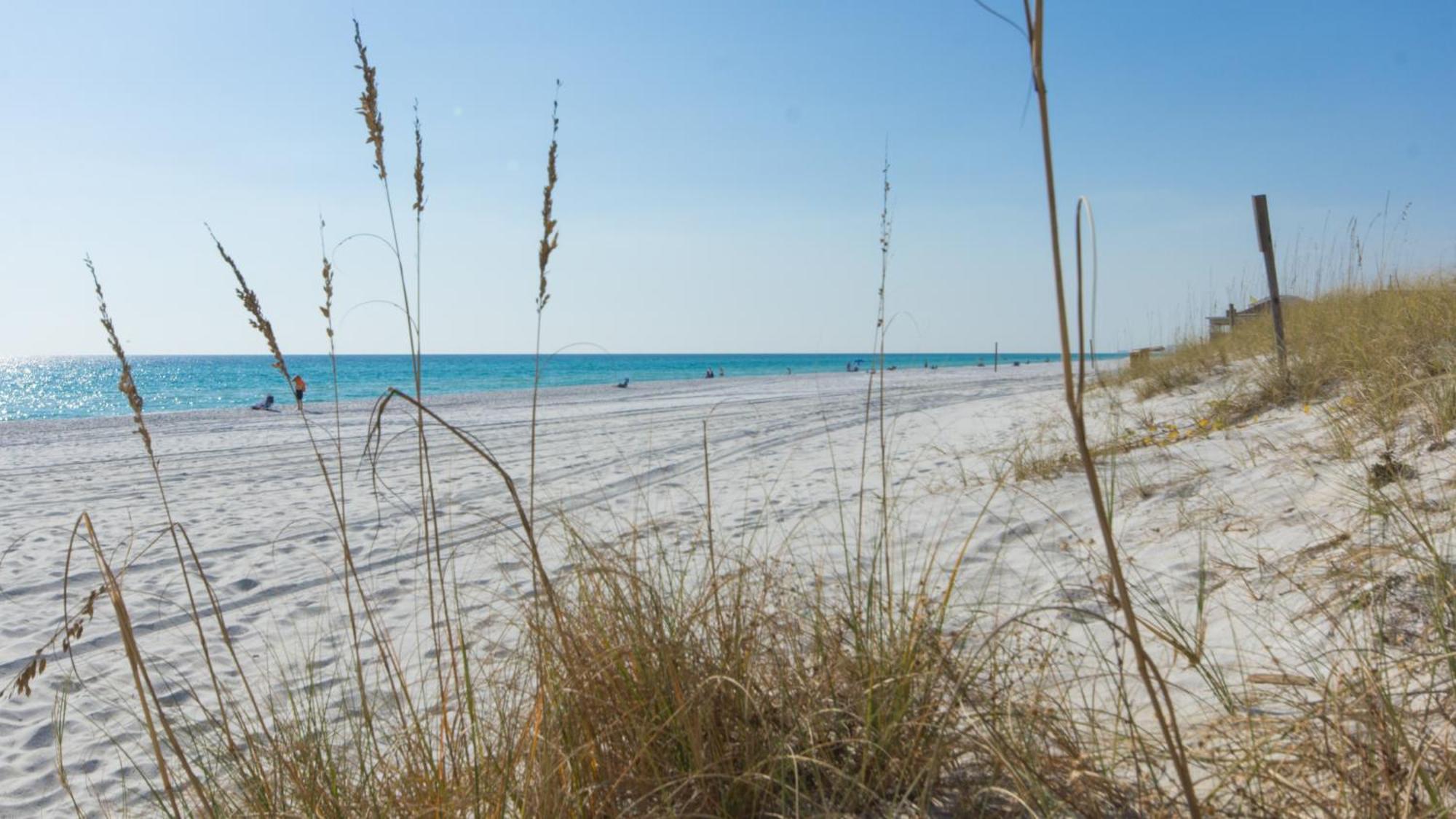 Breathtaking Views From Gulf Front 2 Bd / 3 Ba Townhome! Panama City Beach Eksteriør billede